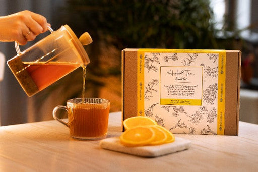 Préparation de thé Herbal Tea Immuflos, versant une infusion dorée dans une tasse transparente avec des tranches d'orange.