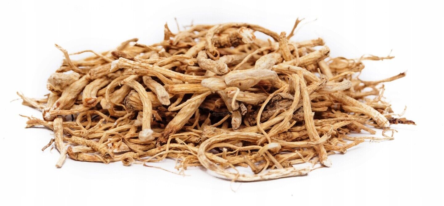 Racines de Panax Ginseng sur un fond blanc, montrant la texture naturelle et brute pour une infusion de qualité.