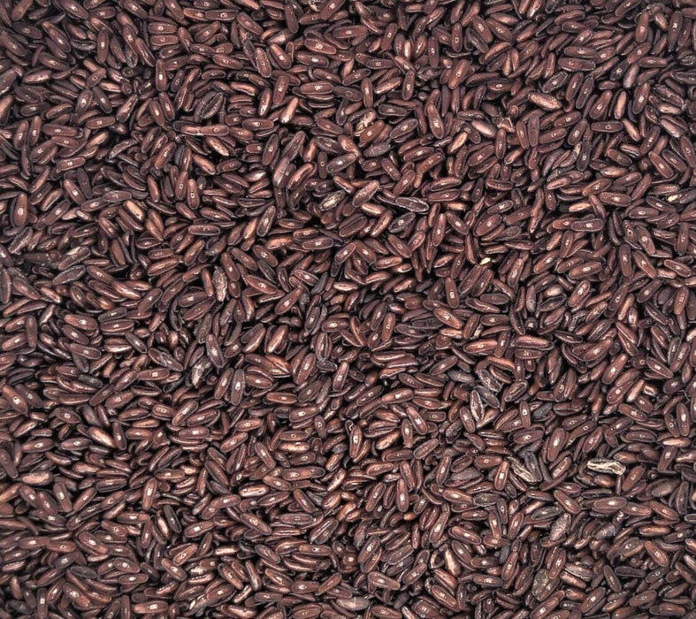 Texture riche et naturelle de psyllium noir en vrac, idéal pour intégrer à votre régime alimentaire équilibré.