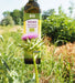 Huile de Chardon-Marie biologique mise en valeur par son environnement naturel et la plante d'origine en arrière-plan.