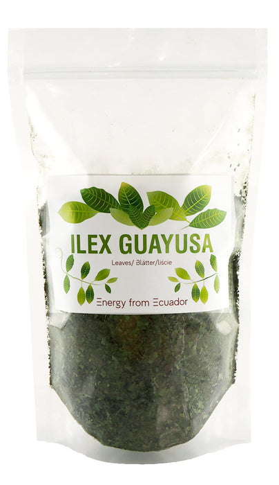 Thé Ilex Guayusa équatorien, mesuré pour infusion, feuilles de qualité supérieure pour une énergie durable, 500g.