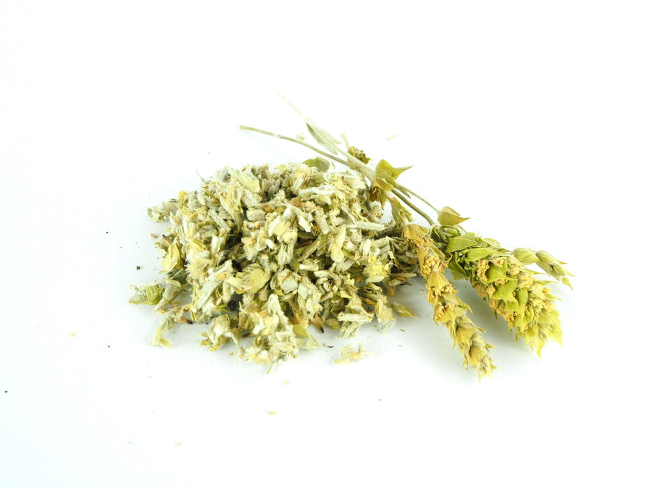 Herbes séchées de Thé de montagne BIO Sideritis éparpillées sur fond blanc, prêtes pour une infusion relaxante.